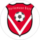 Harkemase Boys