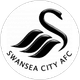 Swansea City